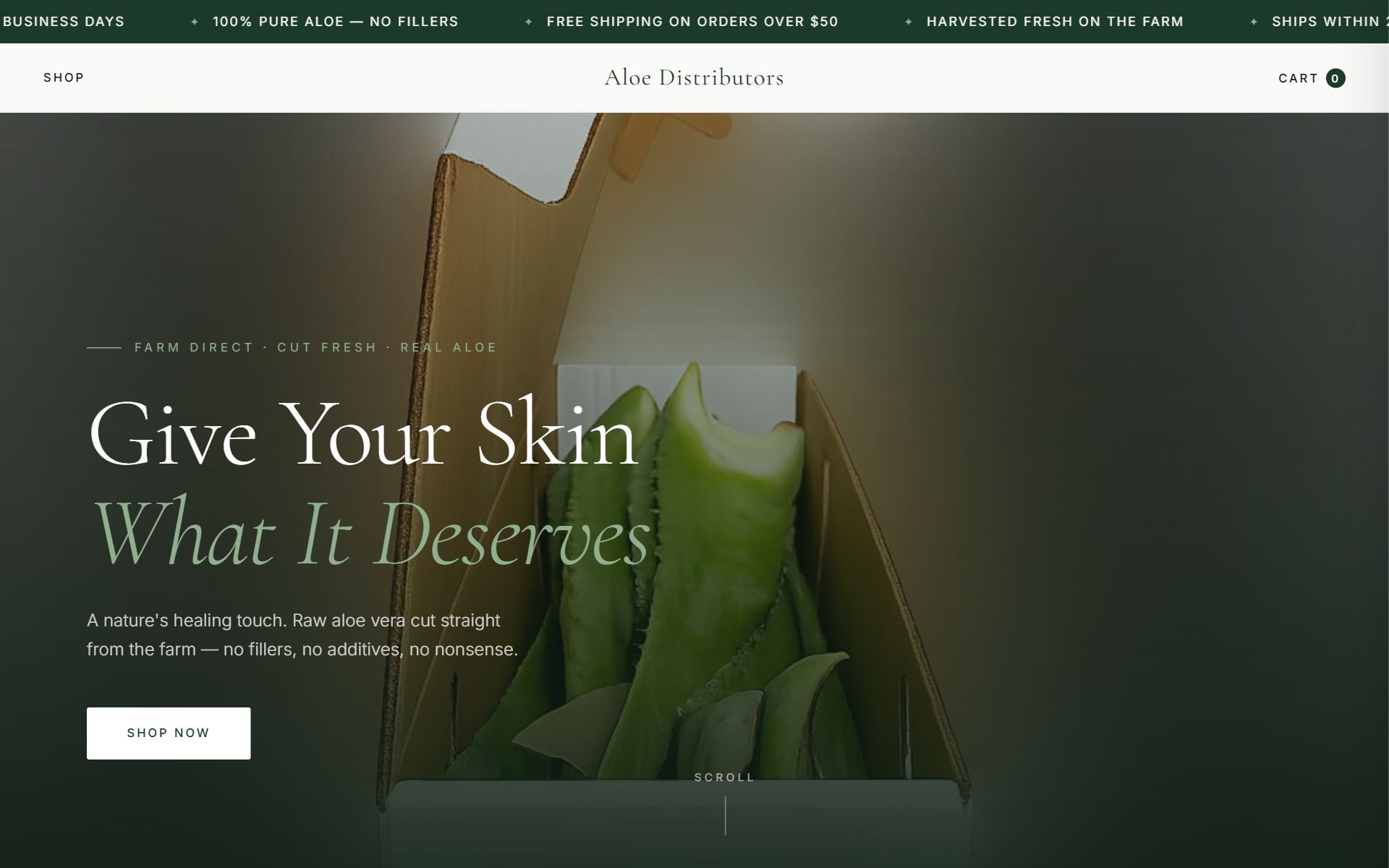 Aloe Distributors homepage preview